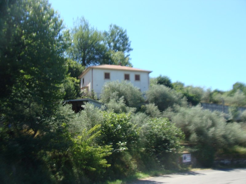 banner-image