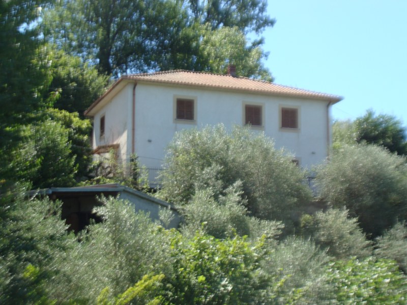banner-image