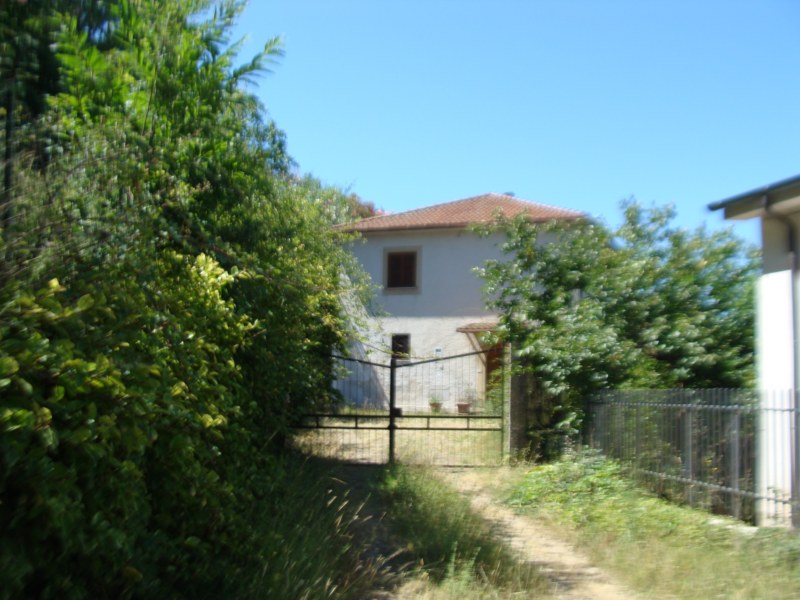 banner-image