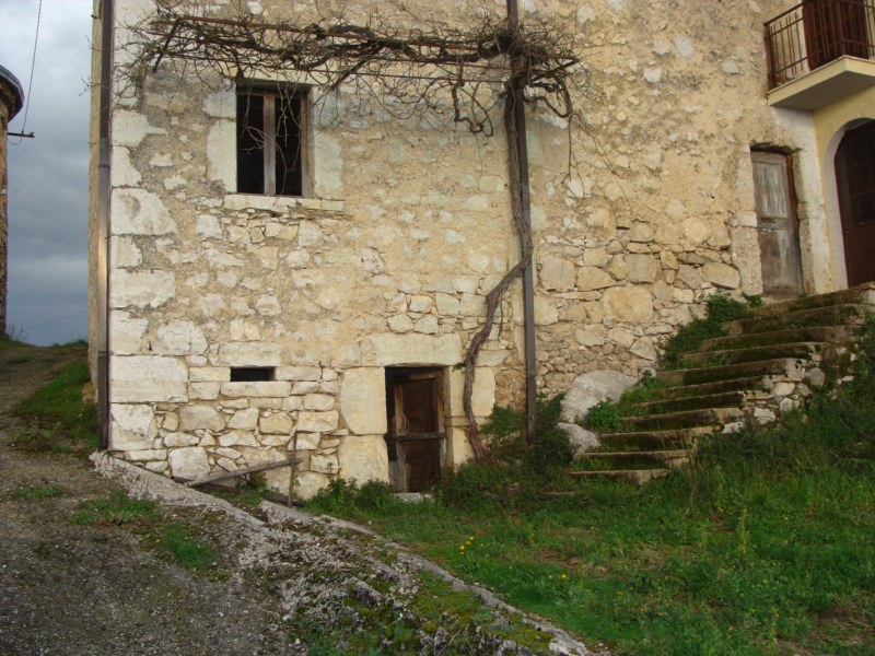 banner-image