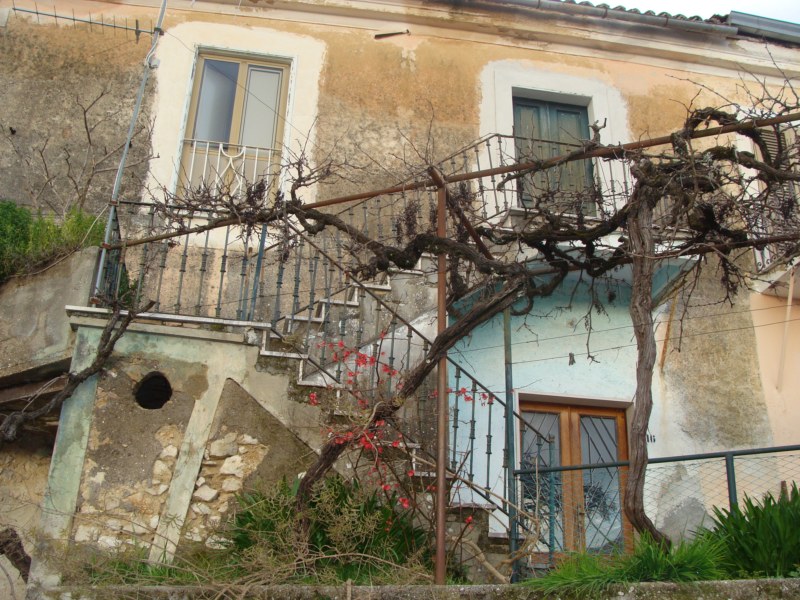 banner-image