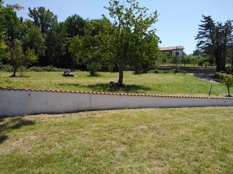 banner-image