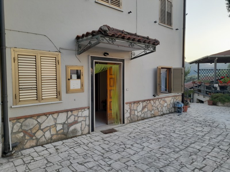banner-image