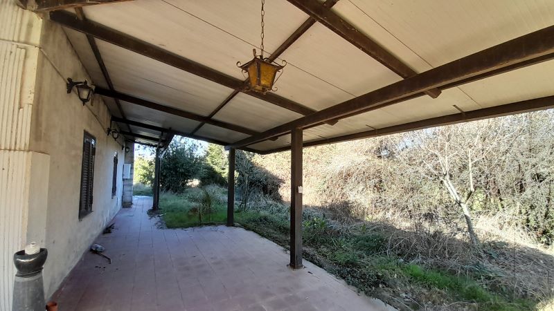 banner-image