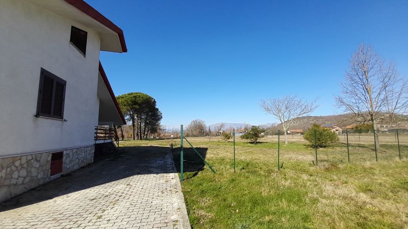 banner-image