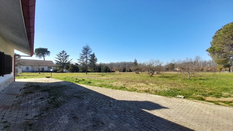banner-image