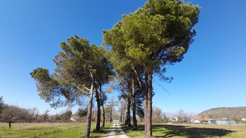 banner-image