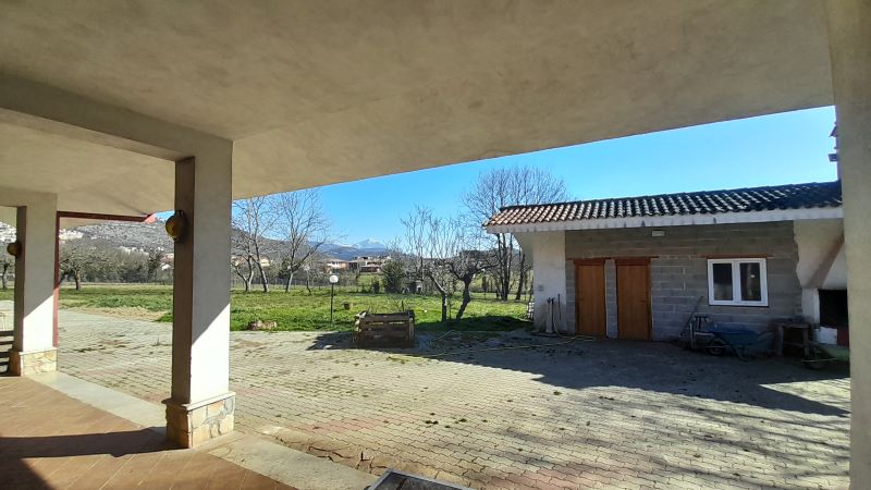banner-image
