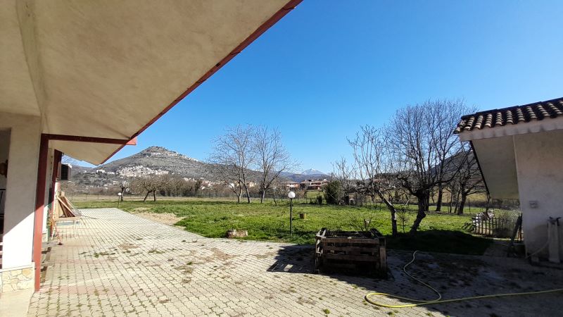 banner-image