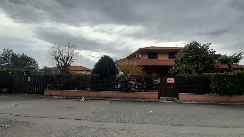 banner-image