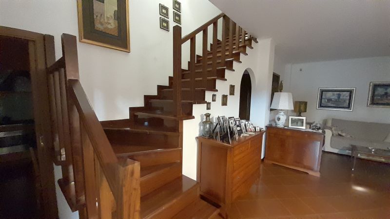 banner-image