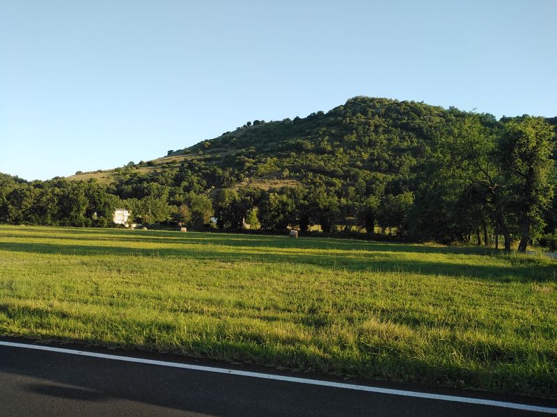 banner-image