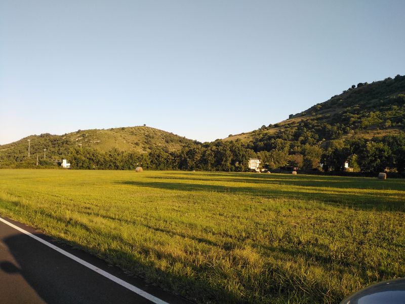 banner-image
