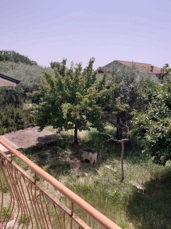 banner-image