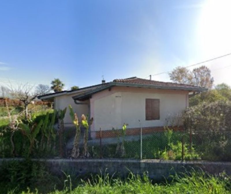 banner-image