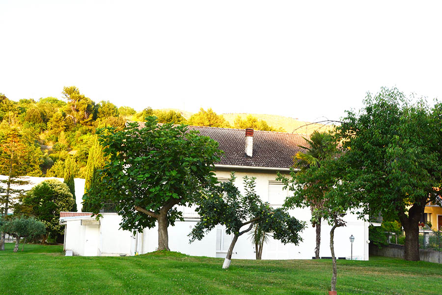 banner-image