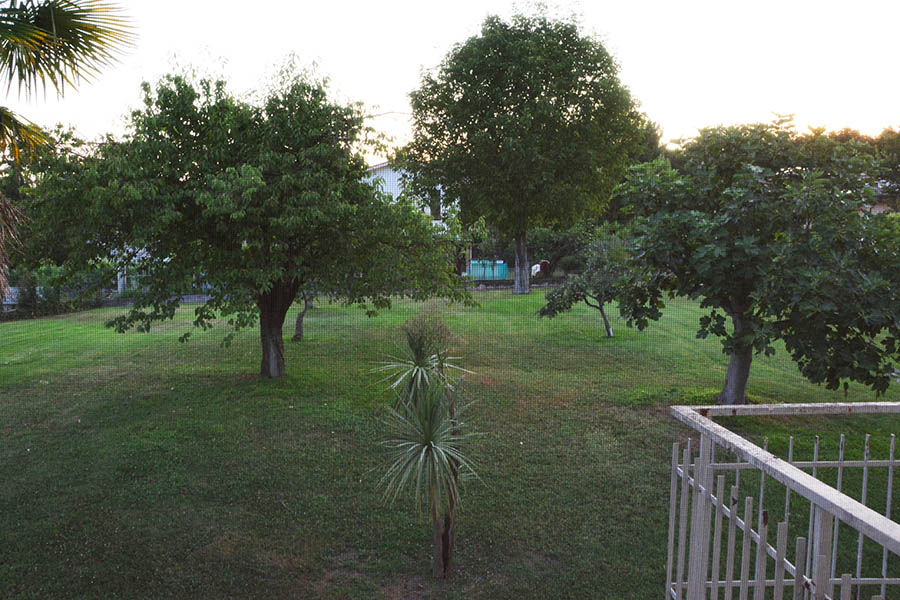banner-image