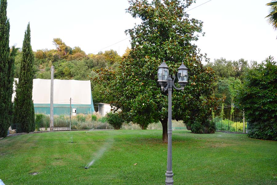 banner-image