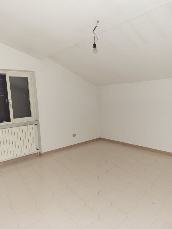 banner-image