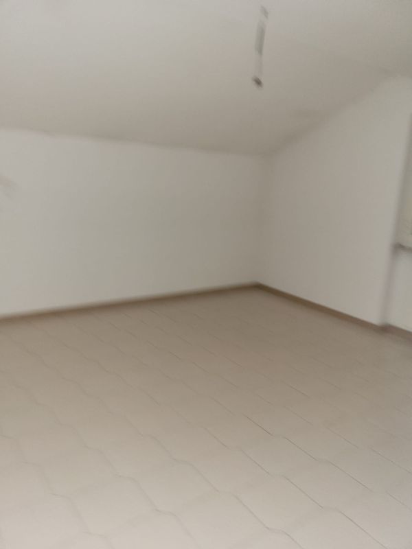 banner-image
