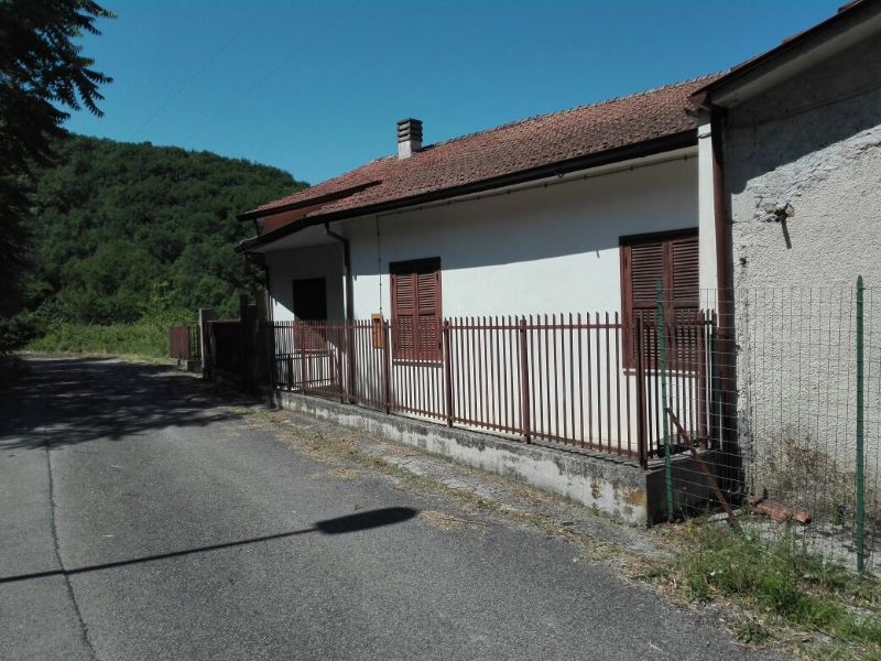 banner-image