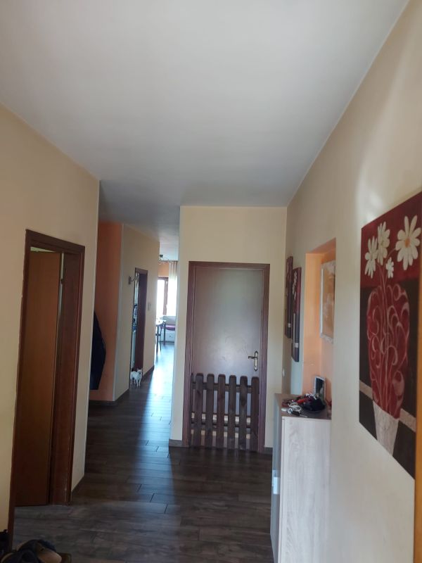 banner-image