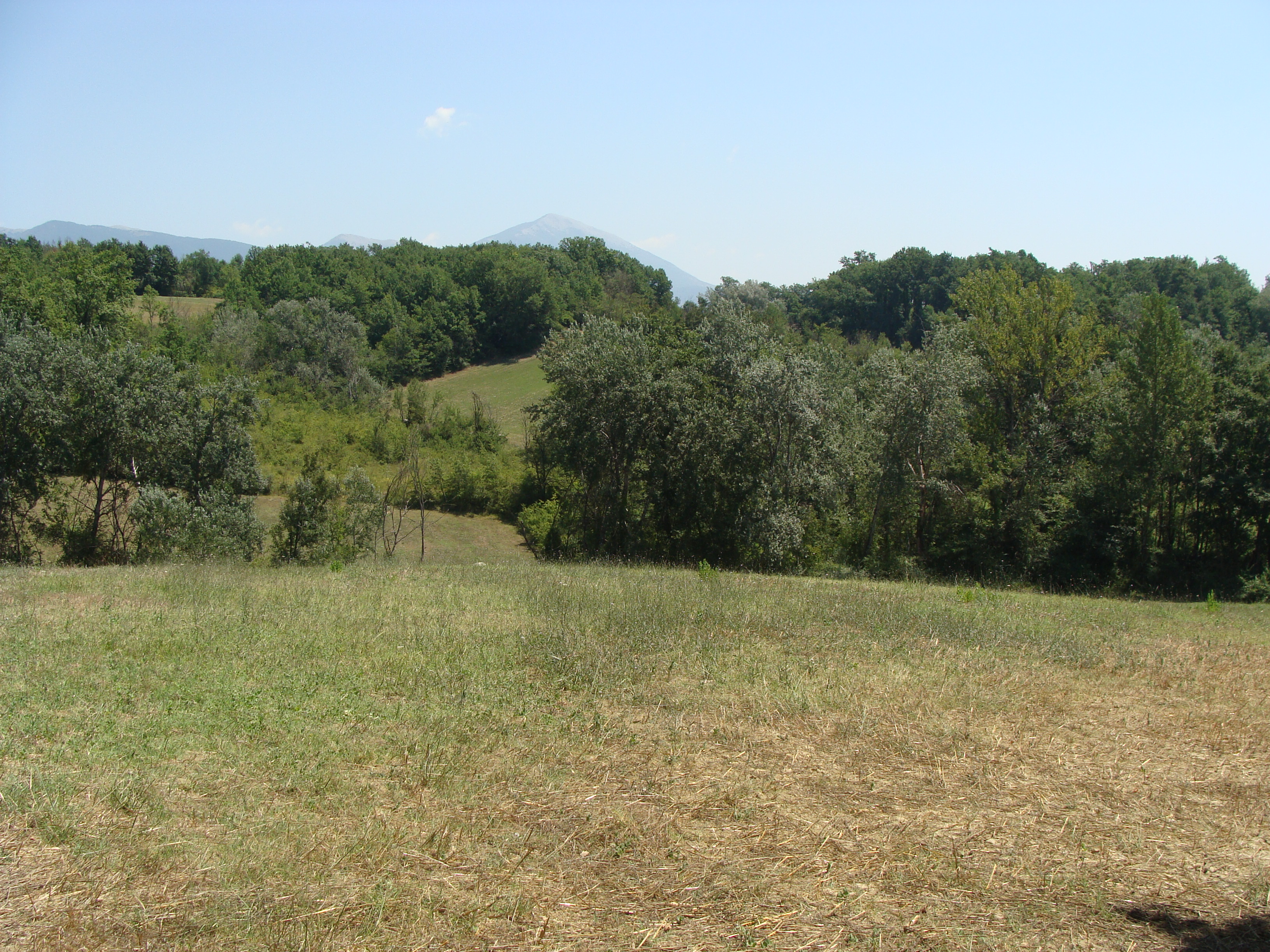 recent-properties-1