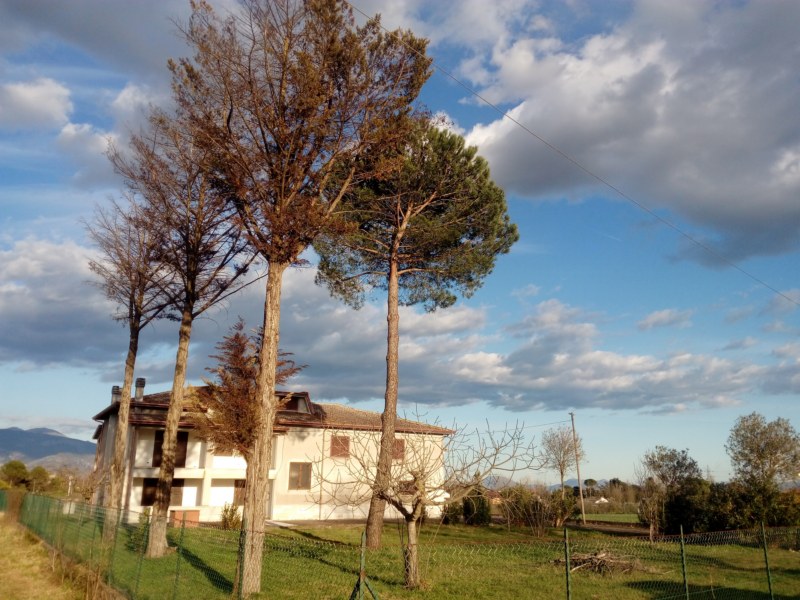 recent-properties-1